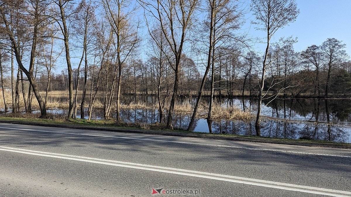 Rozlewiska Narwi w Ostrołęce: Piękno i zagrożenie [07.03.2024] - zdjęcie #12 - eOstroleka.pl