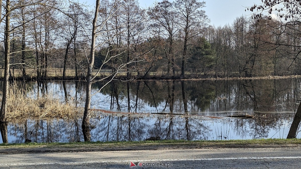 Rozlewiska Narwi w Ostrołęce: Piękno i zagrożenie [07.03.2024] - zdjęcie #13 - eOstroleka.pl