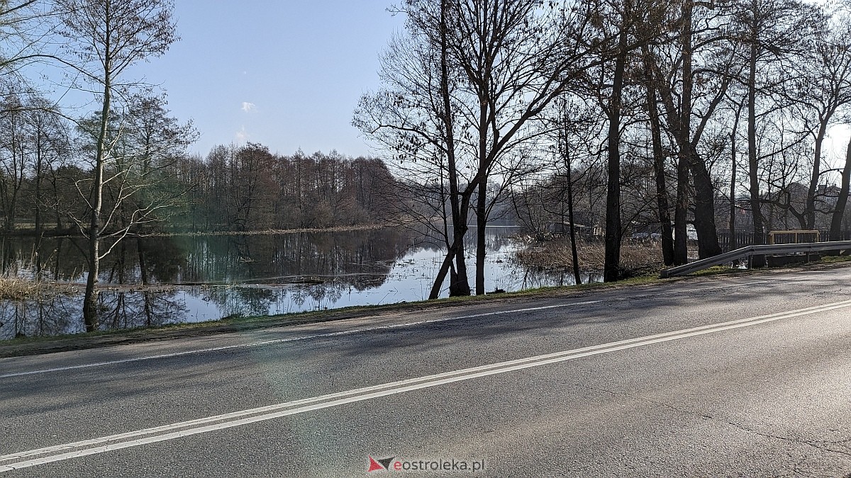 Rozlewiska Narwi w Ostrołęce: Piękno i zagrożenie [07.03.2024] - zdjęcie #7 - eOstroleka.pl