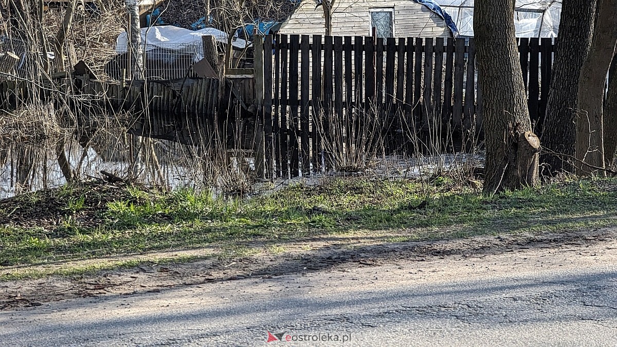Rozlewiska Narwi w Ostrołęce: Piękno i zagrożenie [07.03.2024] - zdjęcie #2 - eOstroleka.pl