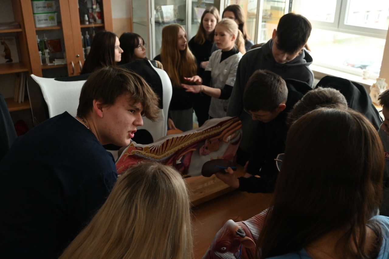 Czas zawodowców w ZSZ nr 2: Młodzież poznaje ofertę edukacyjną szkoły [07.03.2024] - zdjęcie #48 - eOstroleka.pl