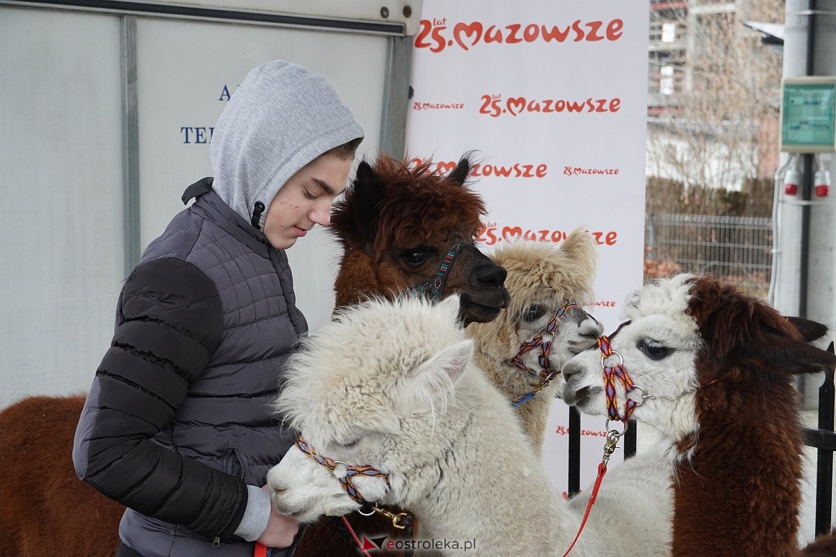 Tacy Sami między Nami - warsztaty rozwojowe w Multimedialnym Centrum Natura [13.03.2024] - zdjęcie #38 - eOstroleka.pl