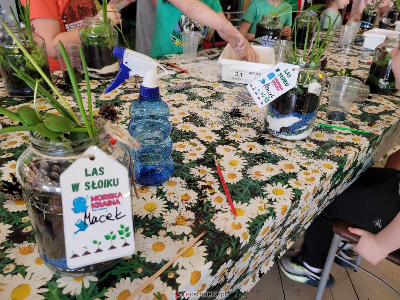 Dzień wiosny w Sali Zabaw Morska Kraina [21.03.2024] - zdjęcie #44 - eOstroleka.pl