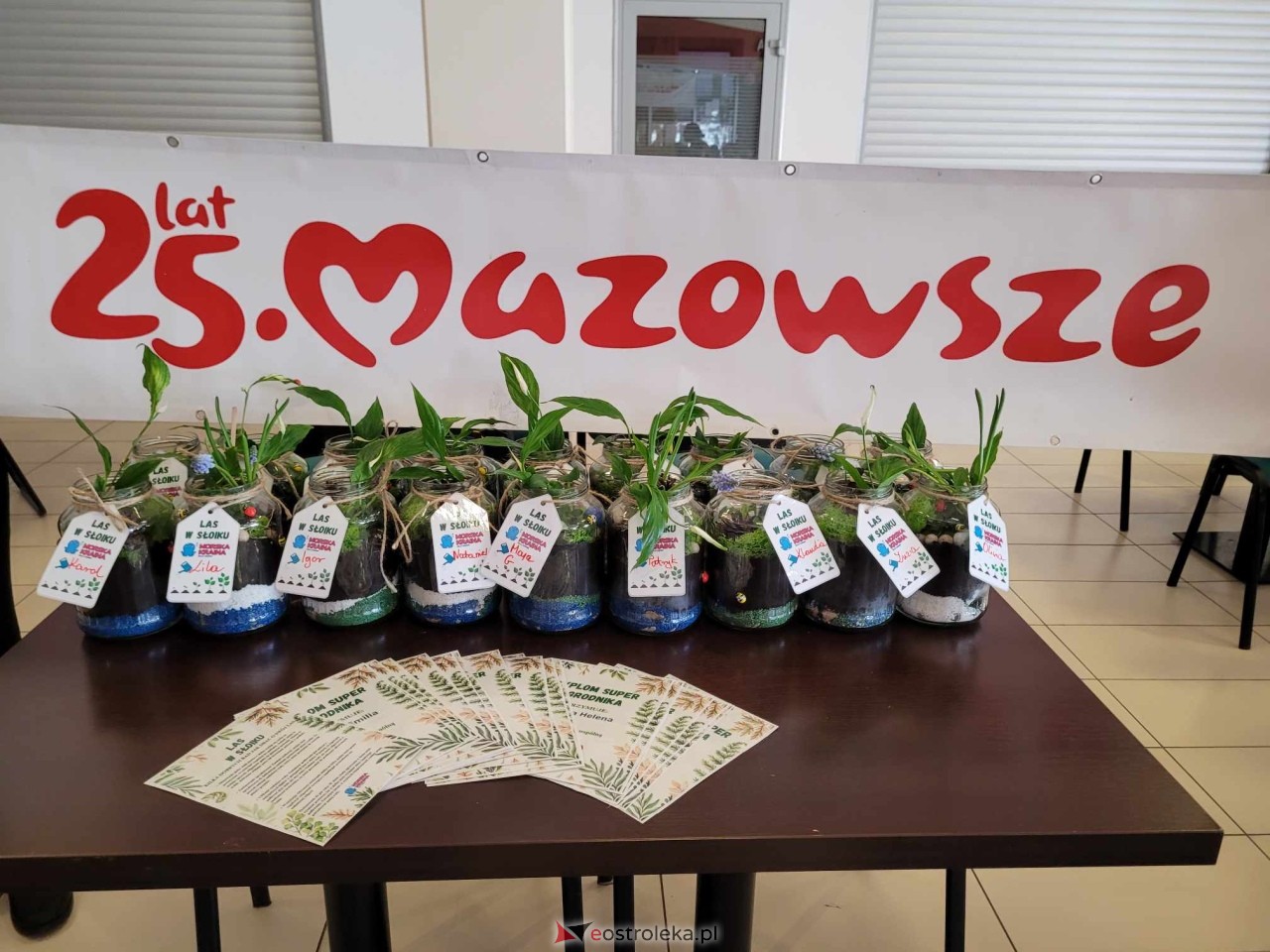 Dzień wiosny w Sali Zabaw Morska Kraina [21.03.2024] - zdjęcie #29 - eOstroleka.pl