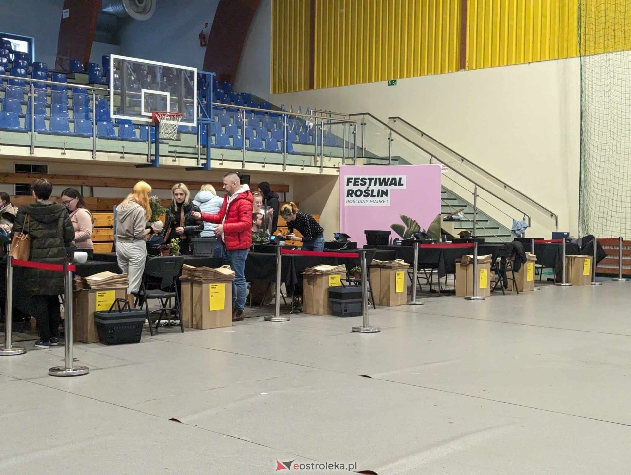 Festiwal Roślin w Ostrołęce [23.03.2024] - zdjęcie #12 - eOstroleka.pl