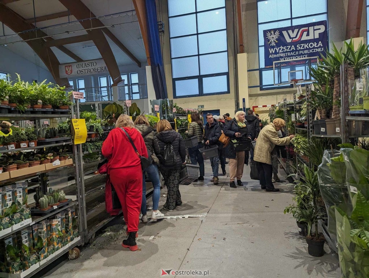Festiwal Roślin w Ostrołęce [23.03.2024] - zdjęcie #11 - eOstroleka.pl