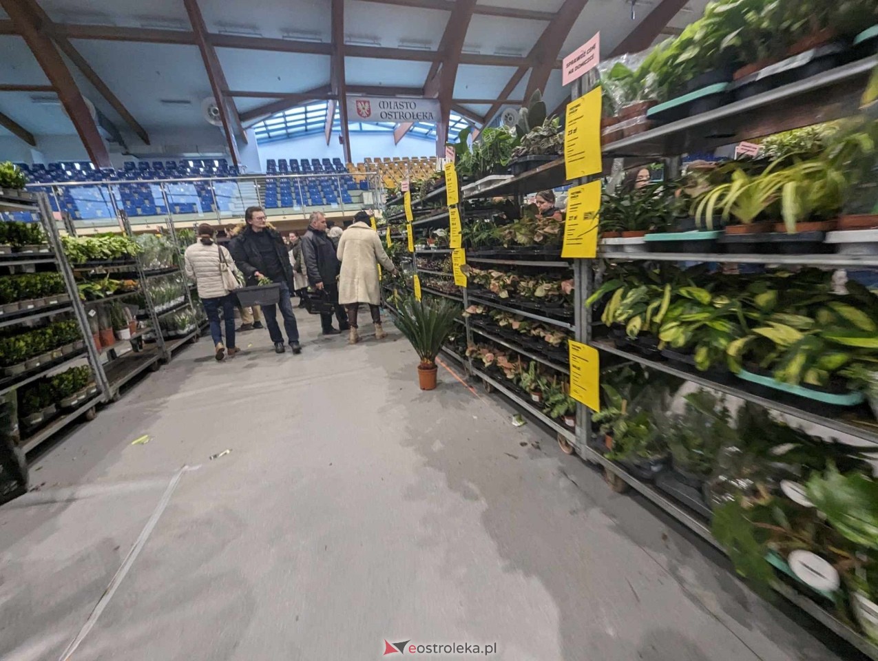 Festiwal Roślin w Ostrołęce [23.03.2024] - zdjęcie #2 - eOstroleka.pl