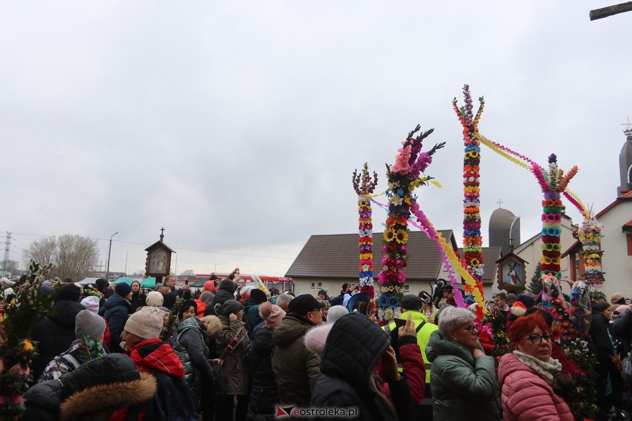 Niedziela Palmowa 2024 w Łysych [24.03.2024] - zdjęcie #239 - eOstroleka.pl