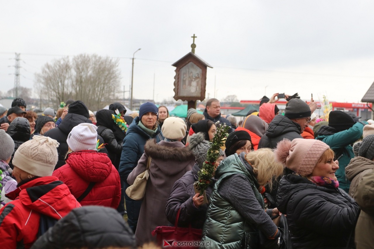 Niedziela Palmowa 2024 w Łysych [24.03.2024] - zdjęcie #241 - eOstroleka.pl