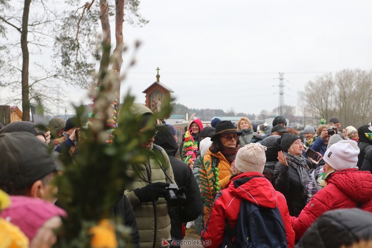 Niedziela Palmowa 2024 w Łysych [24.03.2024] - zdjęcie #242 - eOstroleka.pl