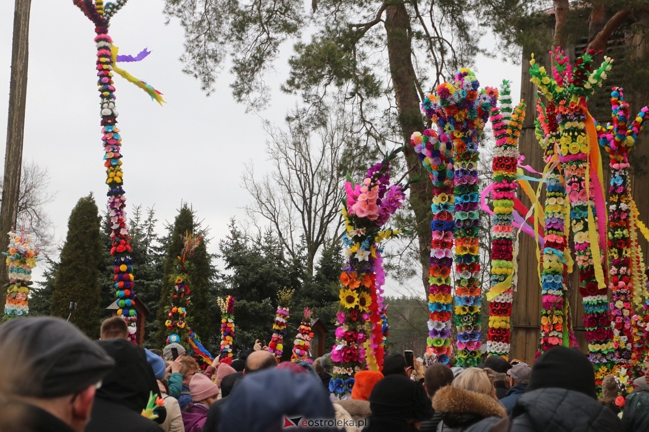 Niedziela Palmowa 2024 w Łysych [24.03.2024] - zdjęcie #258 - eOstroleka.pl