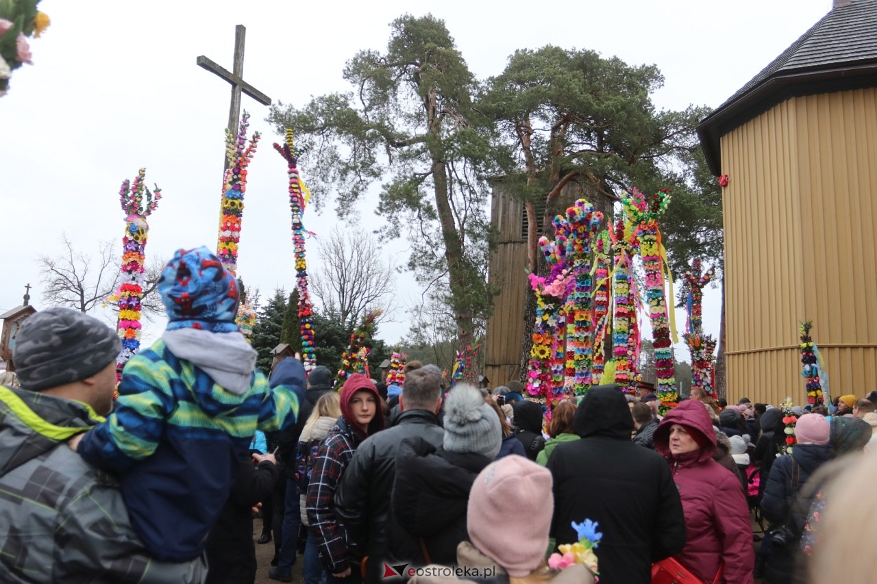 Niedziela Palmowa 2024 w Łysych [24.03.2024] - zdjęcie #261 - eOstroleka.pl