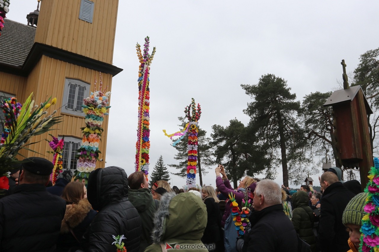 Niedziela Palmowa 2024 w Łysych [24.03.2024] - zdjęcie #299 - eOstroleka.pl