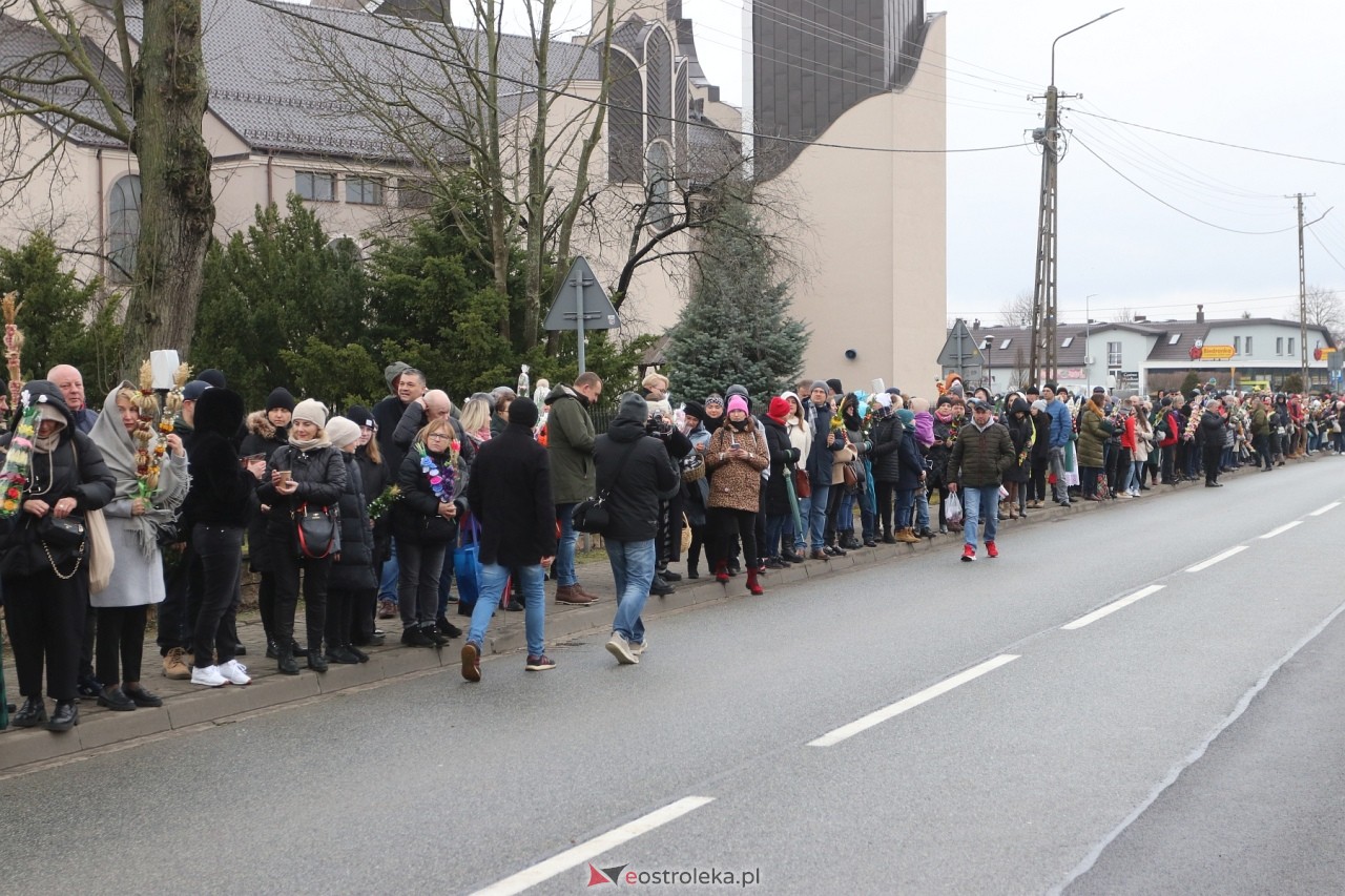 Niedziela Palmowa 2024 w Łysych [24.03.2024] - zdjęcie #305 - eOstroleka.pl