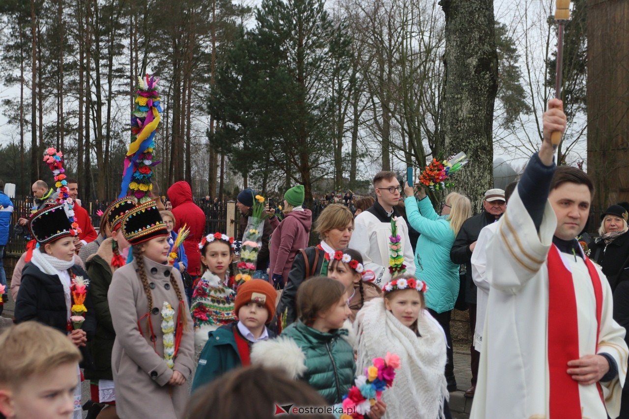 Niedziela Palmowa 2024 w Łysych [24.03.2024] - zdjęcie #312 - eOstroleka.pl