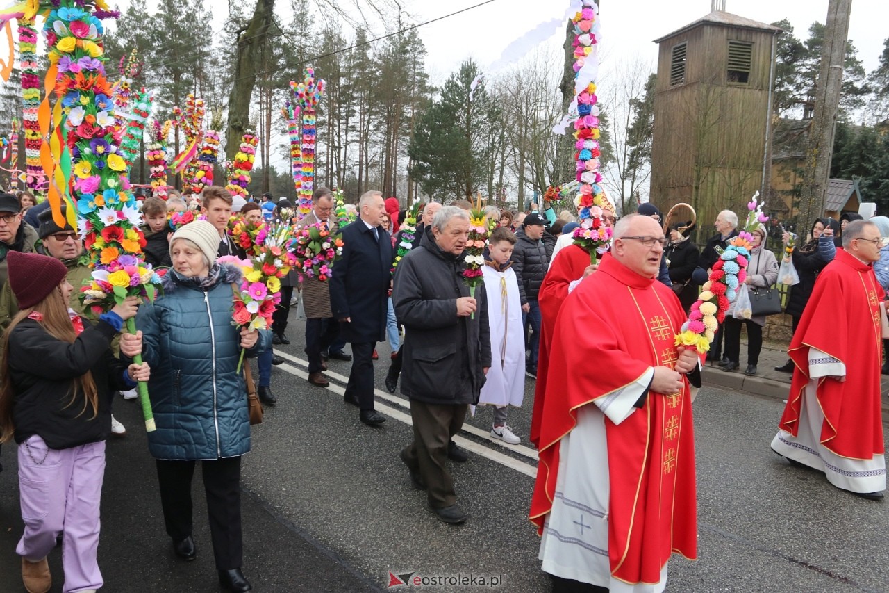 Niedziela Palmowa 2024 w Łysych [24.03.2024] - zdjęcie #324 - eOstroleka.pl