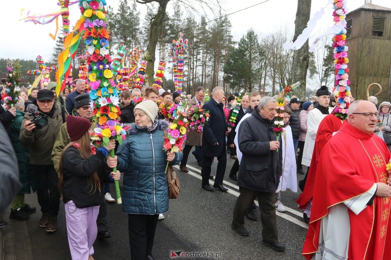 Niedziela Palmowa 2024 w Łysych [24.03.2024] - zdjęcie #325 - eOstroleka.pl