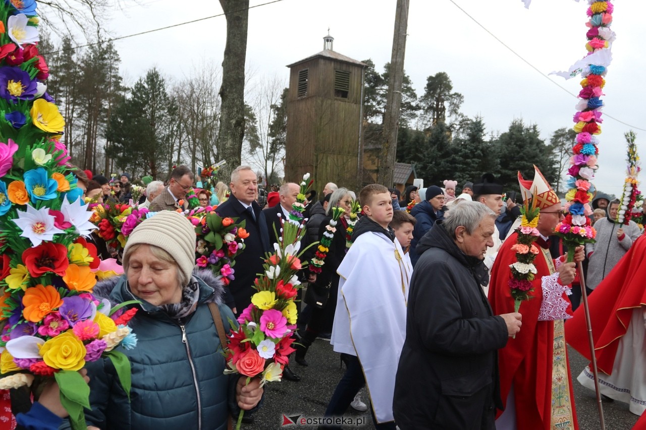 Niedziela Palmowa 2024 w Łysych [24.03.2024] - zdjęcie #329 - eOstroleka.pl