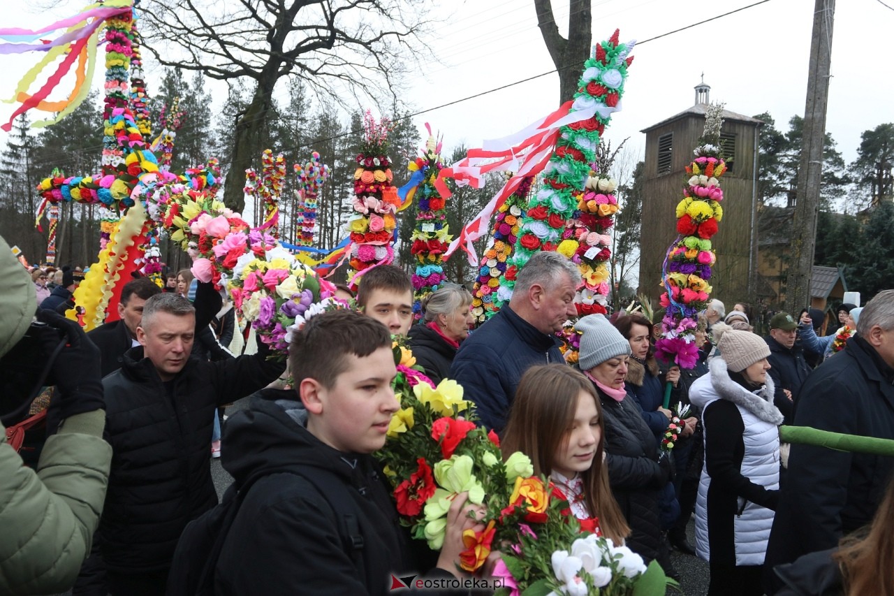 Niedziela Palmowa 2024 w Łysych [24.03.2024] - zdjęcie #333 - eOstroleka.pl