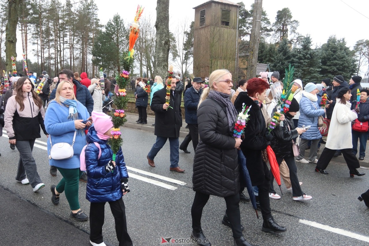 Niedziela Palmowa 2024 w Łysych [24.03.2024] - zdjęcie #348 - eOstroleka.pl