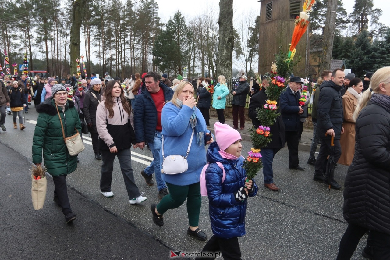 Niedziela Palmowa 2024 w Łysych [24.03.2024] - zdjęcie #349 - eOstroleka.pl