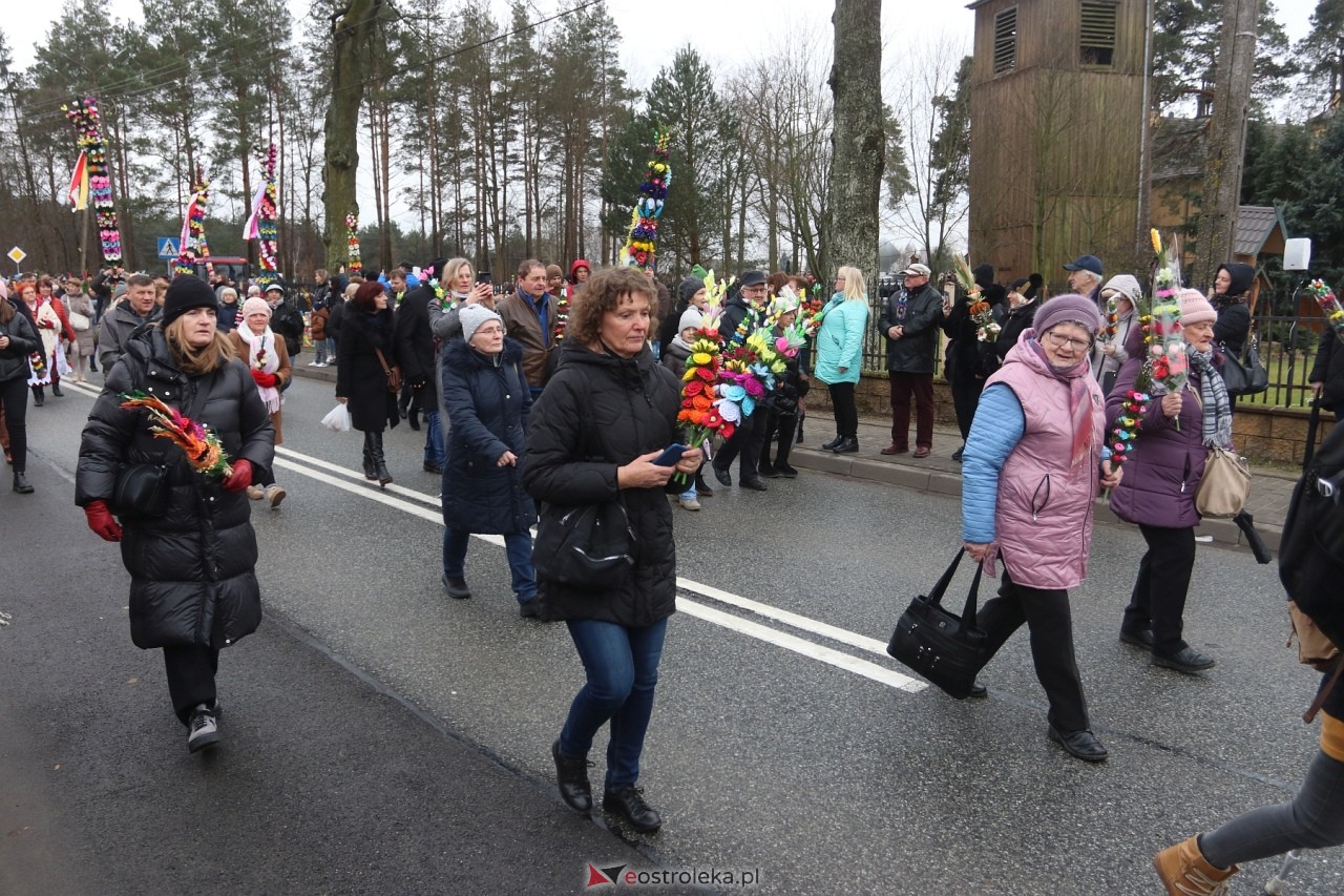 Niedziela Palmowa 2024 w Łysych [24.03.2024] - zdjęcie #350 - eOstroleka.pl