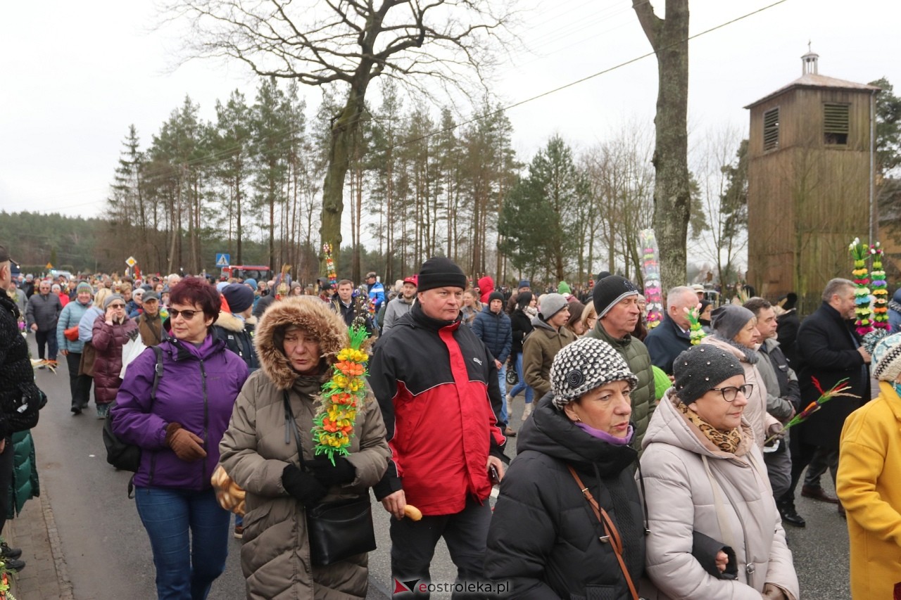 Niedziela Palmowa 2024 w Łysych [24.03.2024] - zdjęcie #367 - eOstroleka.pl