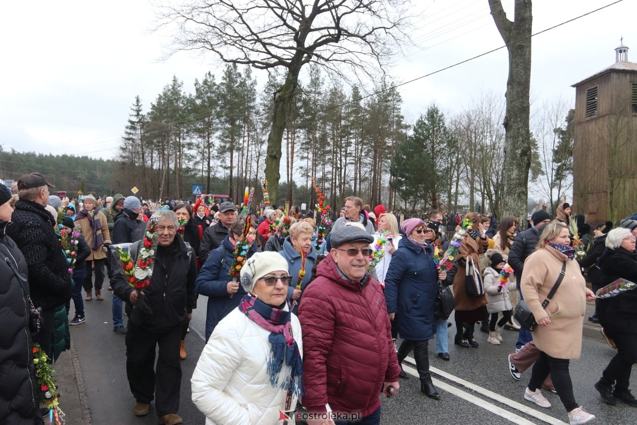 Niedziela Palmowa 2024 w Łysych [24.03.2024] - zdjęcie #369 - eOstroleka.pl