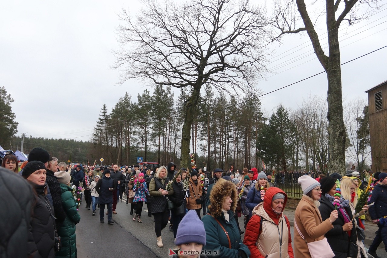 Niedziela Palmowa 2024 w Łysych [24.03.2024] - zdjęcie #370 - eOstroleka.pl