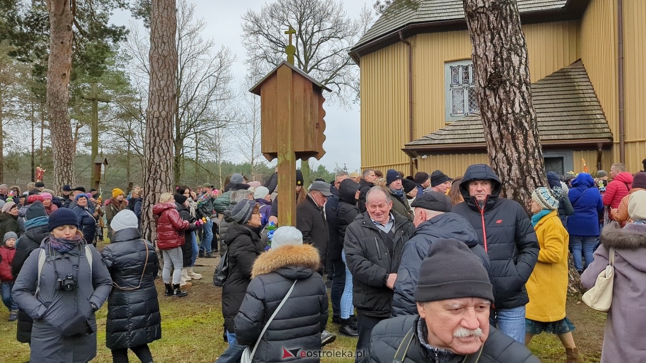 Niedziela Palmowa 2024 w Łysych [24.03.2024] - zdjęcie #118 - eOstroleka.pl