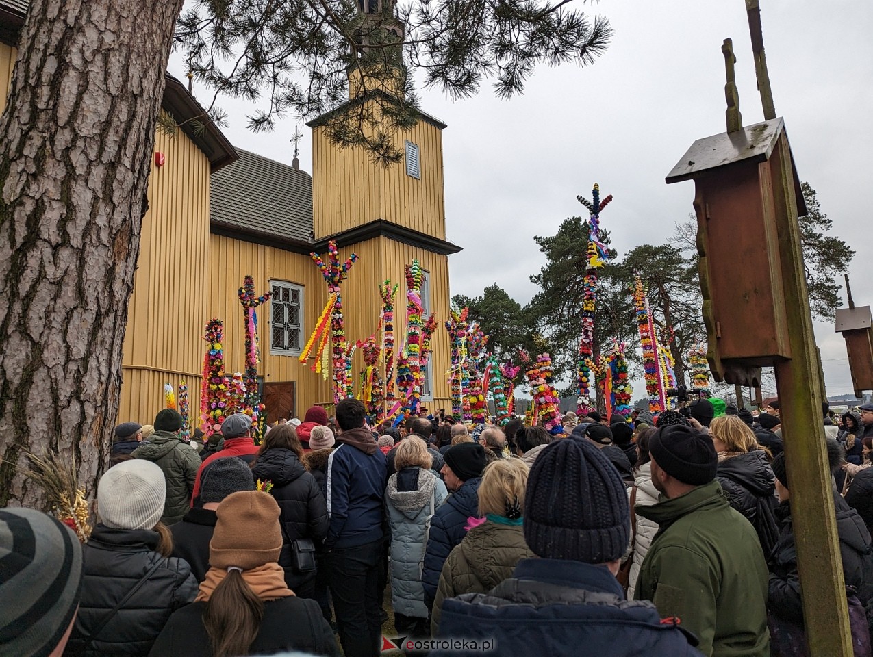 Niedziela Palmowa 2024 w Łysych [24.03.2024] - zdjęcie #124 - eOstroleka.pl