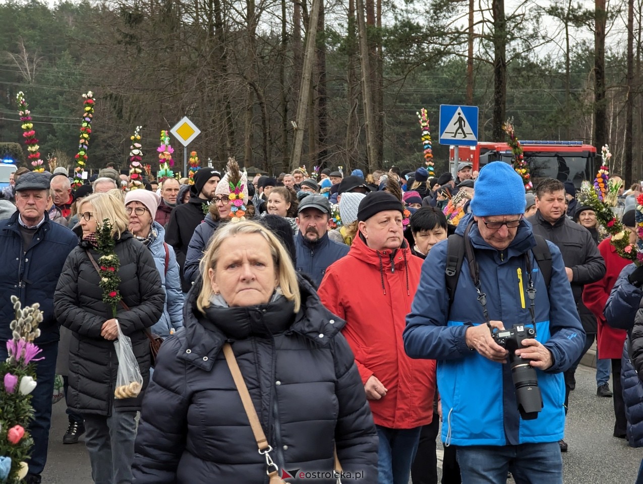 Niedziela Palmowa 2024 w Łysych [24.03.2024] - zdjęcie #188 - eOstroleka.pl