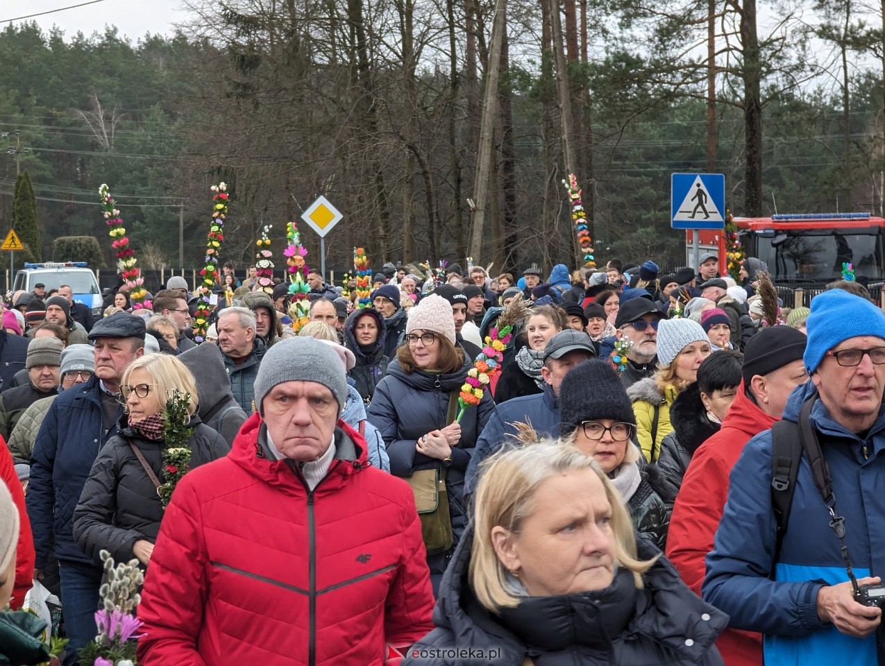 Niedziela Palmowa 2024 w Łysych [24.03.2024] - zdjęcie #189 - eOstroleka.pl