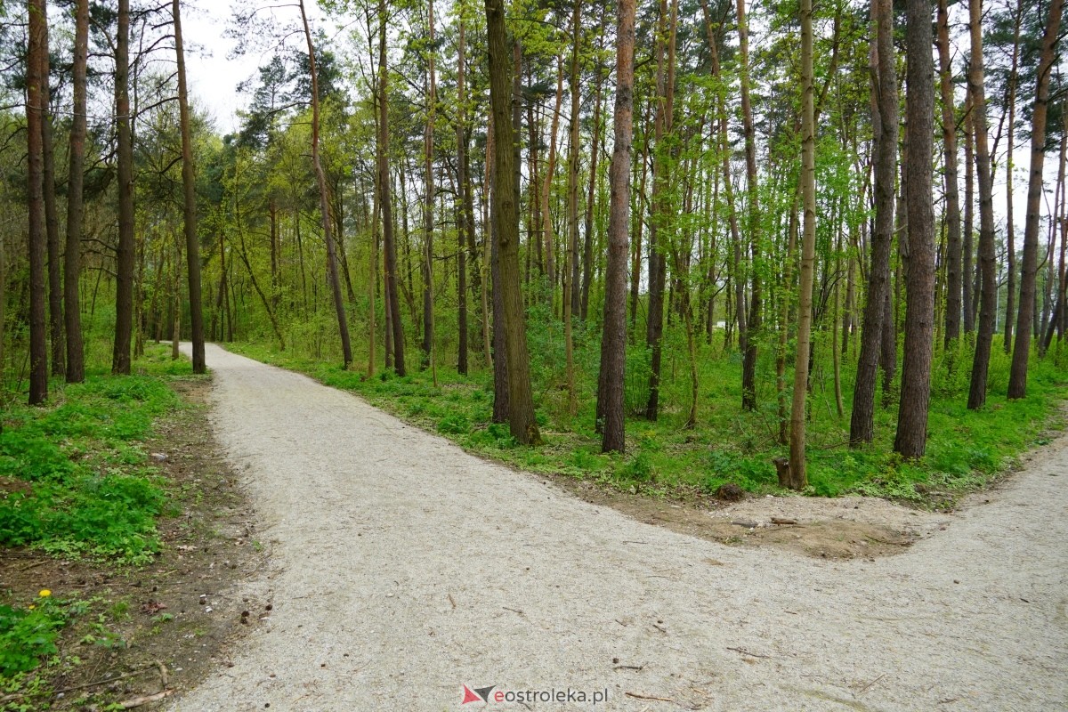 Akcja sprzątania lasu przy ulicy Warszawskiej [13.04.2024] - zdjęcie #35 - eOstroleka.pl