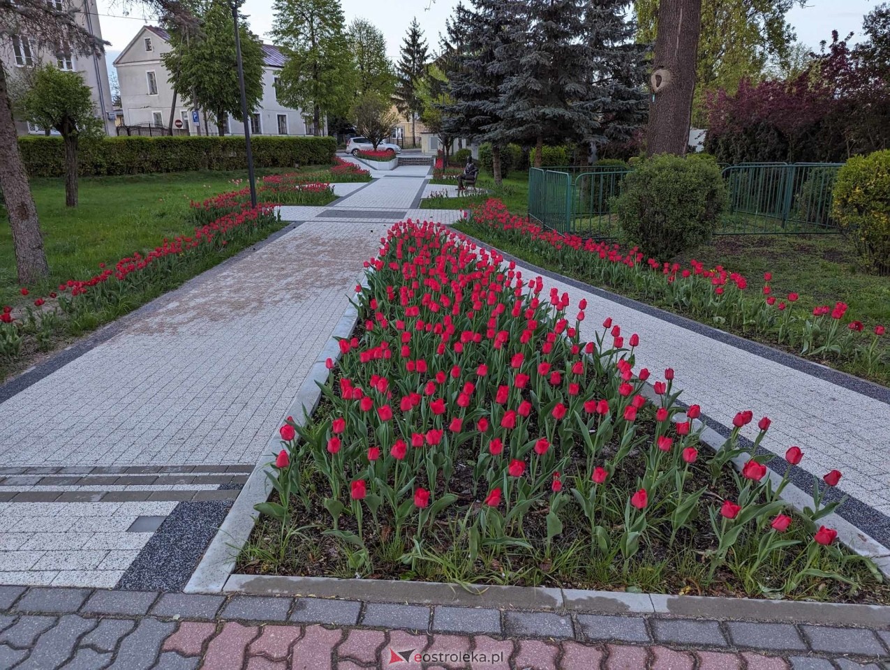 Skwer J. Psarskiego w Ostrołęce [16.04.2024] - zdjęcie #1 - eOstroleka.pl