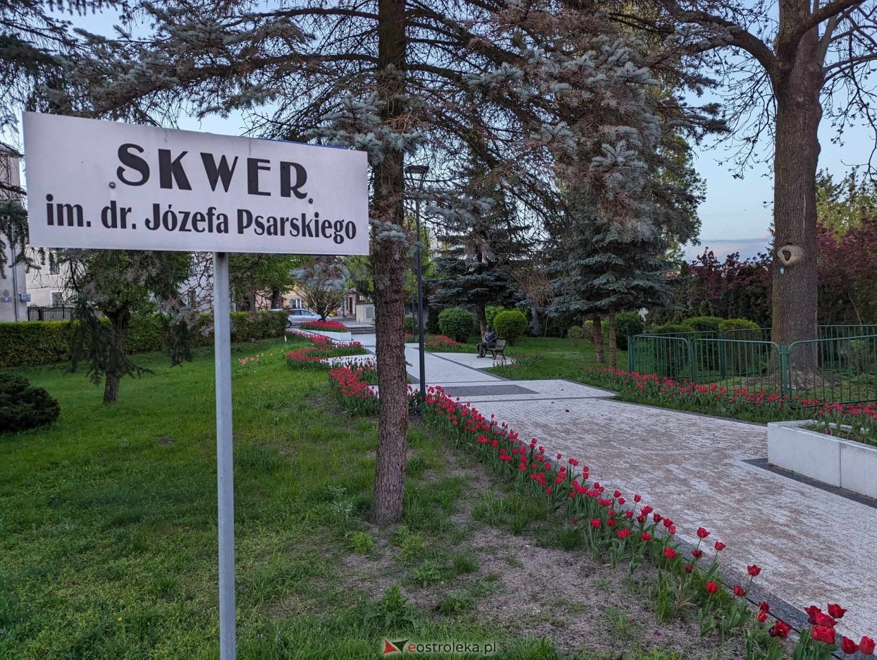 Skwer J. Psarskiego w Ostrołęce [16.04.2024] - zdjęcie #17 - eOstroleka.pl