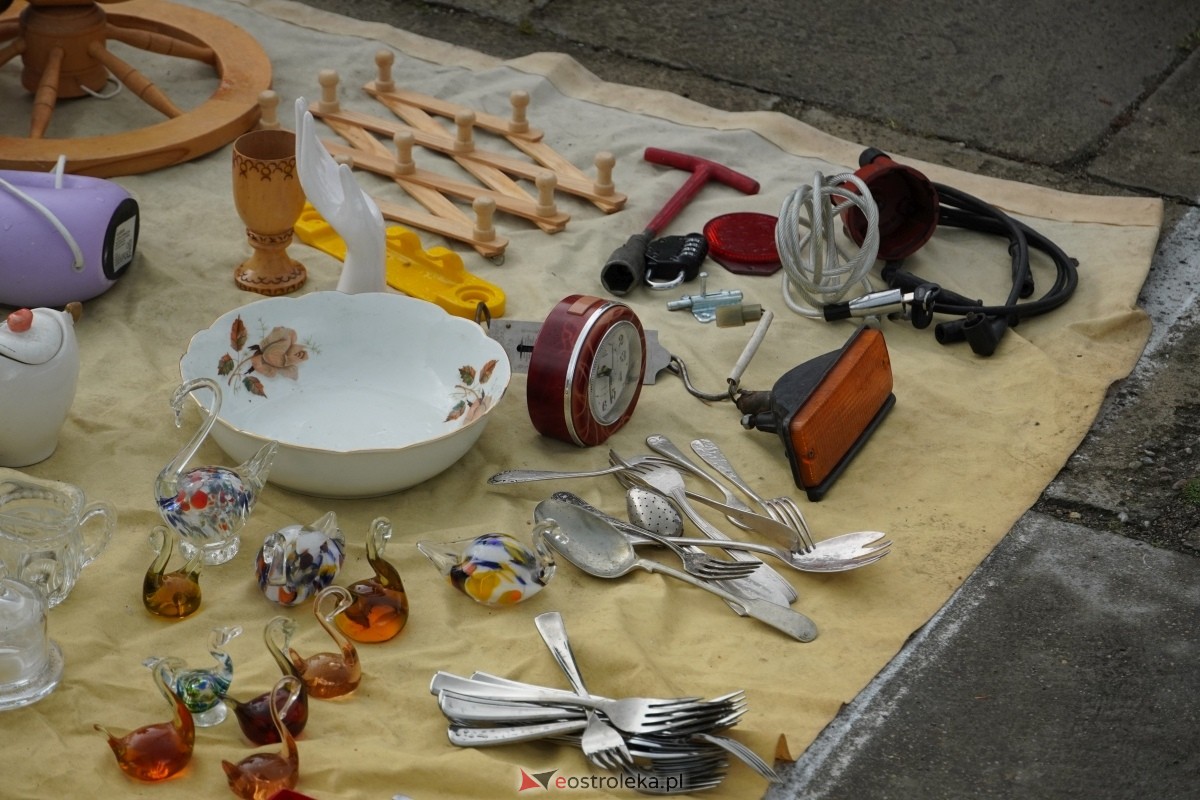 Pchli Targ w Ostrołęce: Skarby mimo deszczu! [20.04.2024] - zdjęcie #67 - eOstroleka.pl