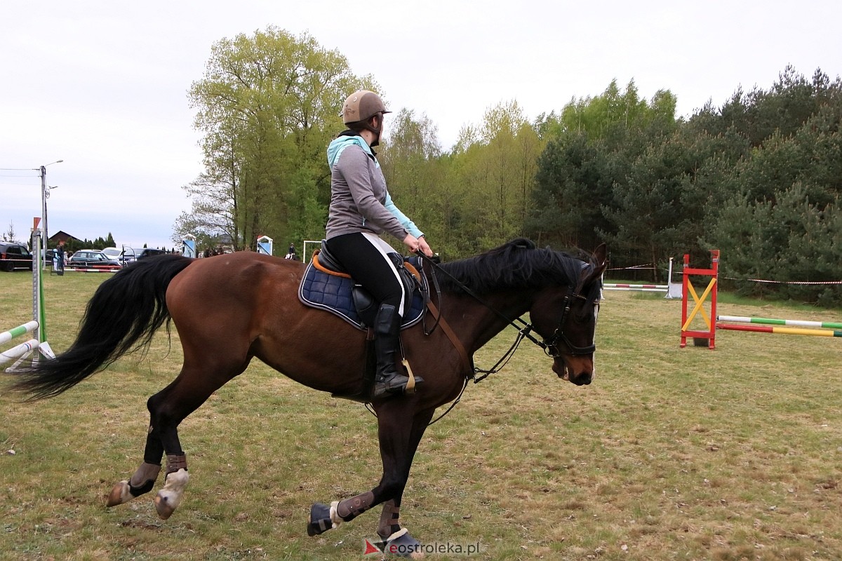 Towarzyskie Zawody Skokowe w Nogawkach [21.04.2024] - zdjęcie #100 - eOstroleka.pl