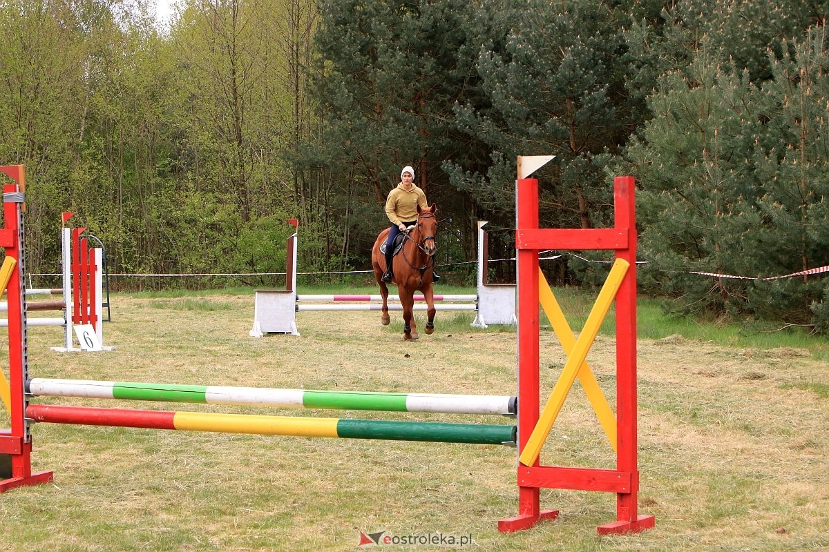 Towarzyskie Zawody Skokowe w Nogawkach [21.04.2024] - zdjęcie #129 - eOstroleka.pl