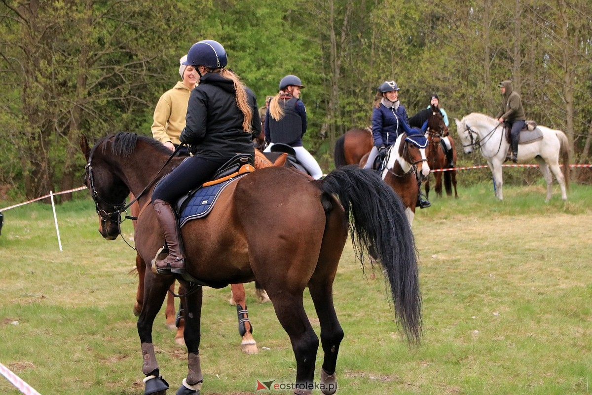 Towarzyskie Zawody Skokowe w Nogawkach [21.04.2024] - zdjęcie #181 - eOstroleka.pl