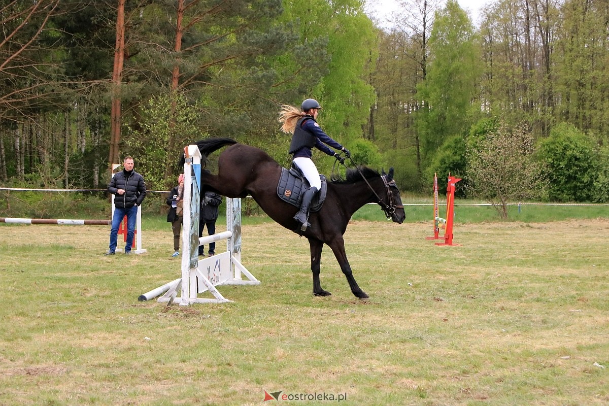 Towarzyskie Zawody Skokowe w Nogawkach [21.04.2024] - zdjęcie #197 - eOstroleka.pl