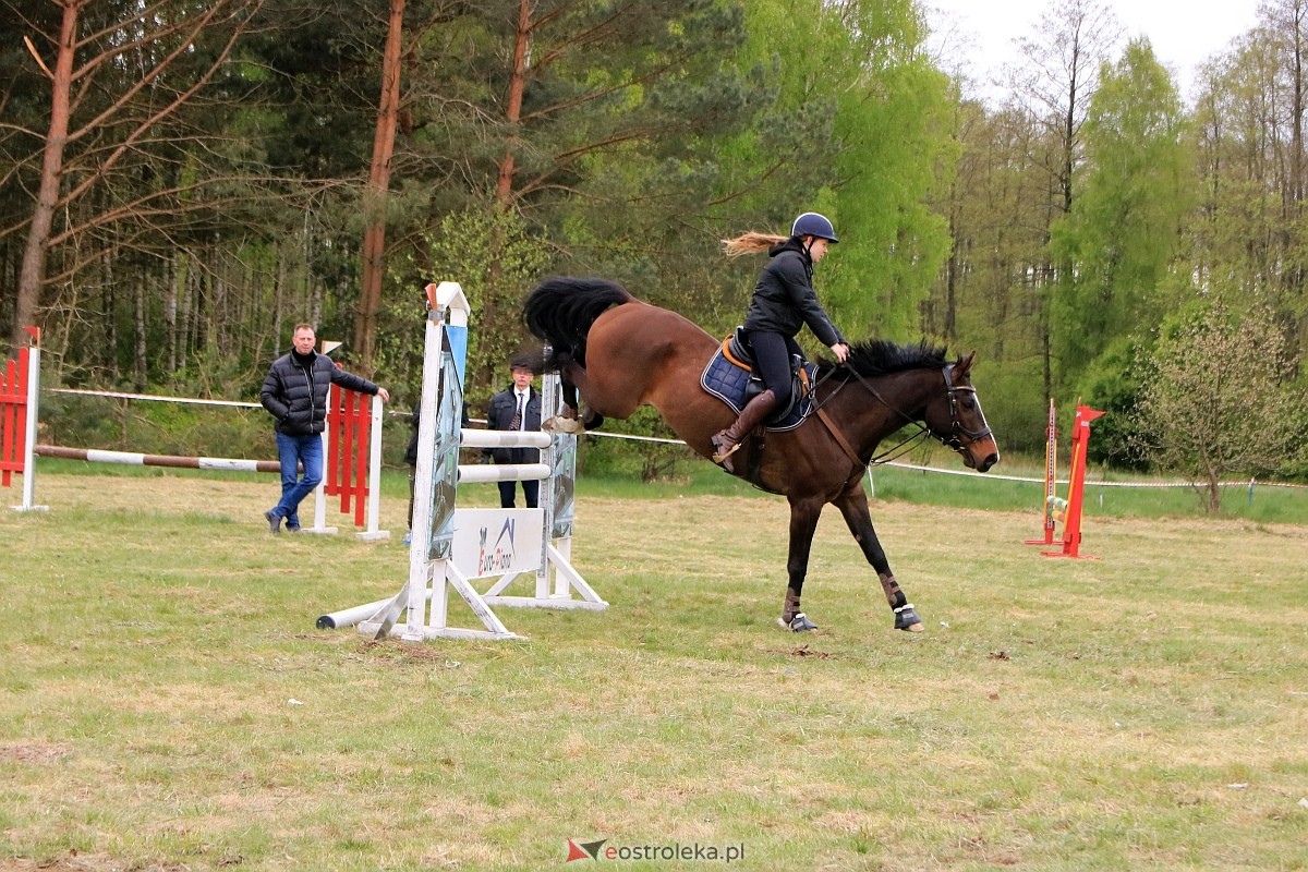 Towarzyskie Zawody Skokowe w Nogawkach [21.04.2024] - zdjęcie #37 - eOstroleka.pl