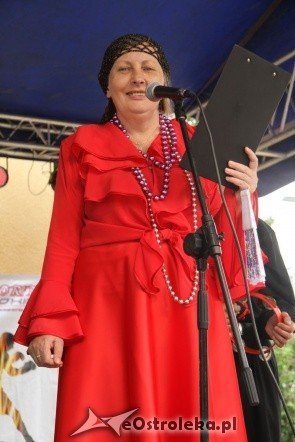 Festyn Rodzinny Osiedla Stacja (19.06.2011) - zdjęcie #29 - eOstroleka.pl