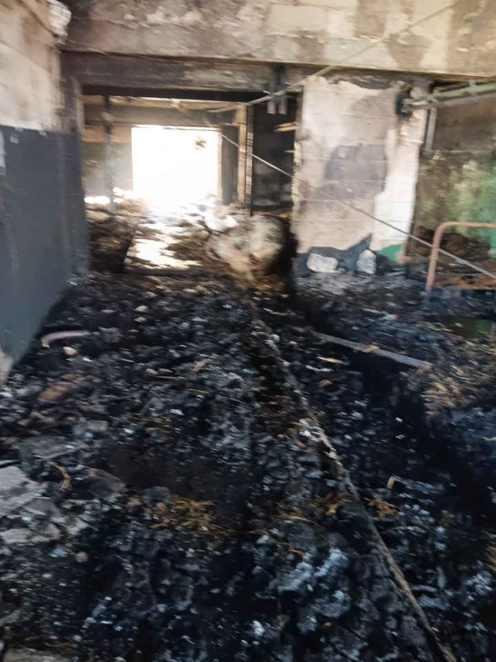 Poważny pożar w Lelisie! Spłonął budynek gospodarczy i składowana w nim słoma [29.04.2024] - zdjęcie #7 - eOstroleka.pl