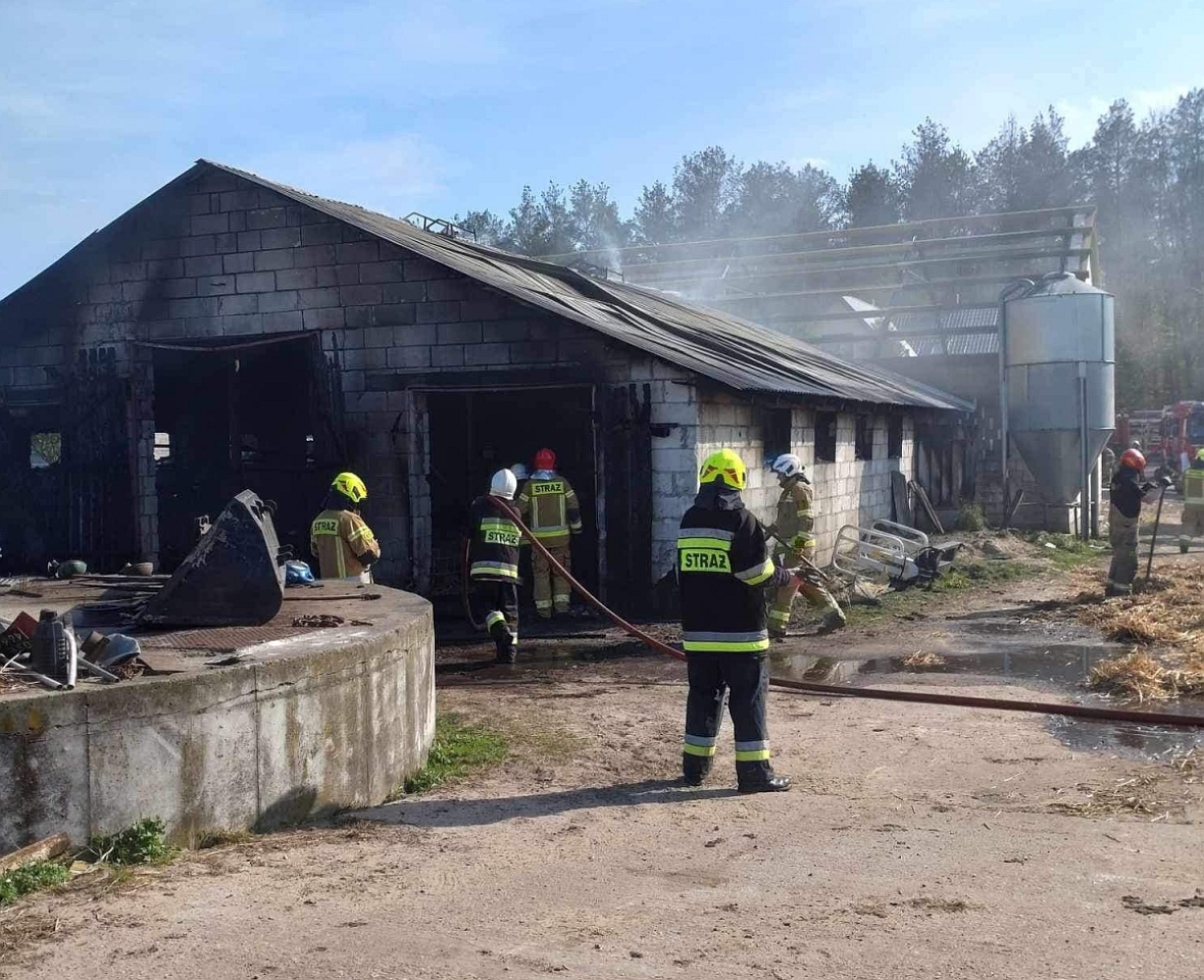 Poważny pożar w Lelisie! Spłonął budynek gospodarczy i składowana w nim słoma [29.04.2024] - zdjęcie #8 - eOstroleka.pl
