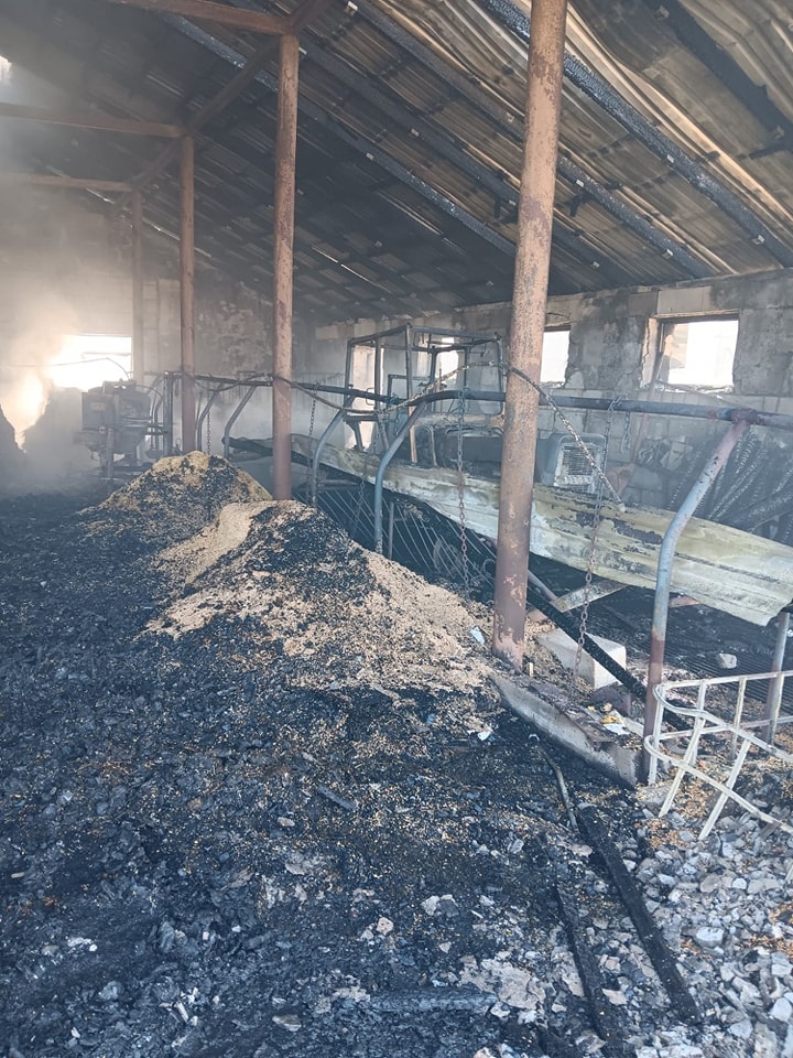 Poważny pożar w Lelisie! Spłonął budynek gospodarczy i składowana w nim słoma [29.04.2024] - zdjęcie #4 - eOstroleka.pl