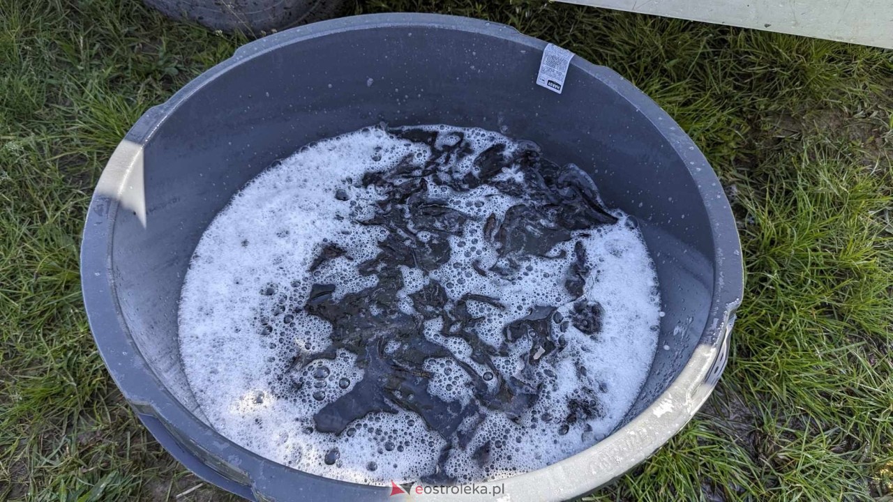 Wiosenne zarybianie Narwi z Energa Elektrownie Ostrołęka [09.05.2024] - zdjęcie #29 - eOstroleka.pl