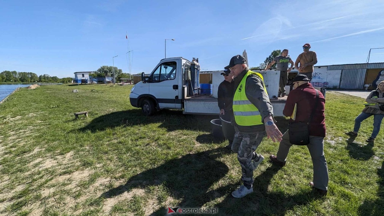 Wiosenne zarybianie Narwi z Energa Elektrownie Ostrołęka [09.05.2024] - zdjęcie #26 - eOstroleka.pl