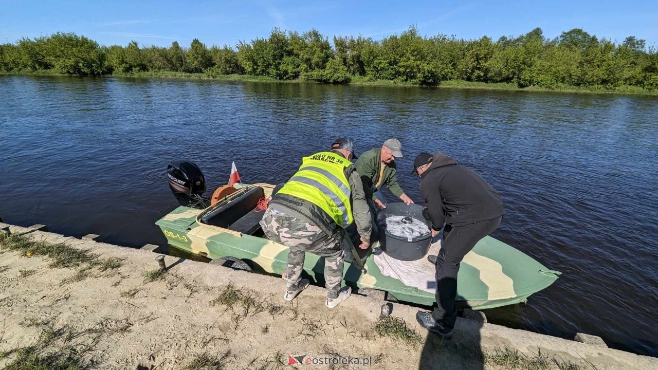 Wiosenne zarybianie Narwi z Energa Elektrownie Ostrołęka [09.05.2024] - zdjęcie #10 - eOstroleka.pl