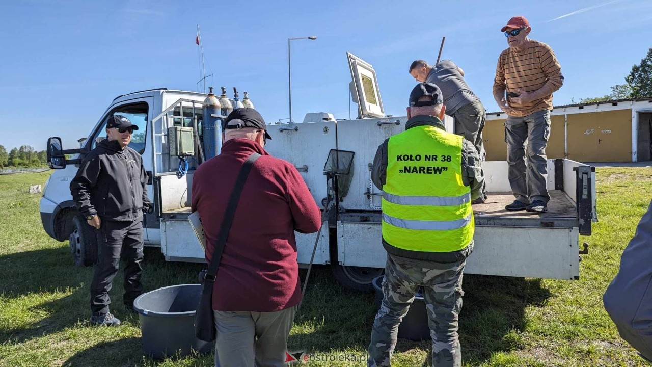 Wiosenne zarybianie Narwi z Energa Elektrownie Ostrołęka [09.05.2024] - zdjęcie #3 - eOstroleka.pl